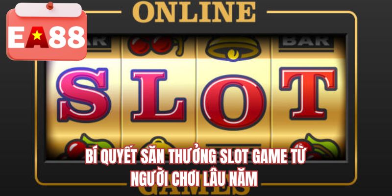 Bí quyết săn thưởng slot game từ người chơi lâu năm