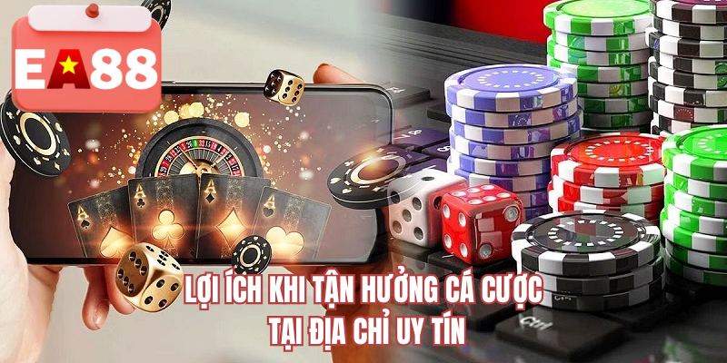 Lợi ích khi tận hưởng cá cược tại địa chỉ uy tín