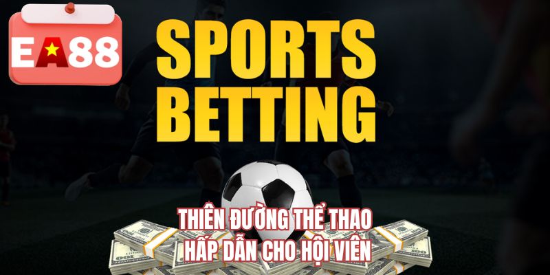 Thiên đường thể thao hấp dẫn cho hội viên